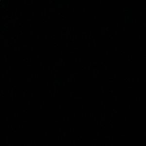 Meet your Posher, Ali